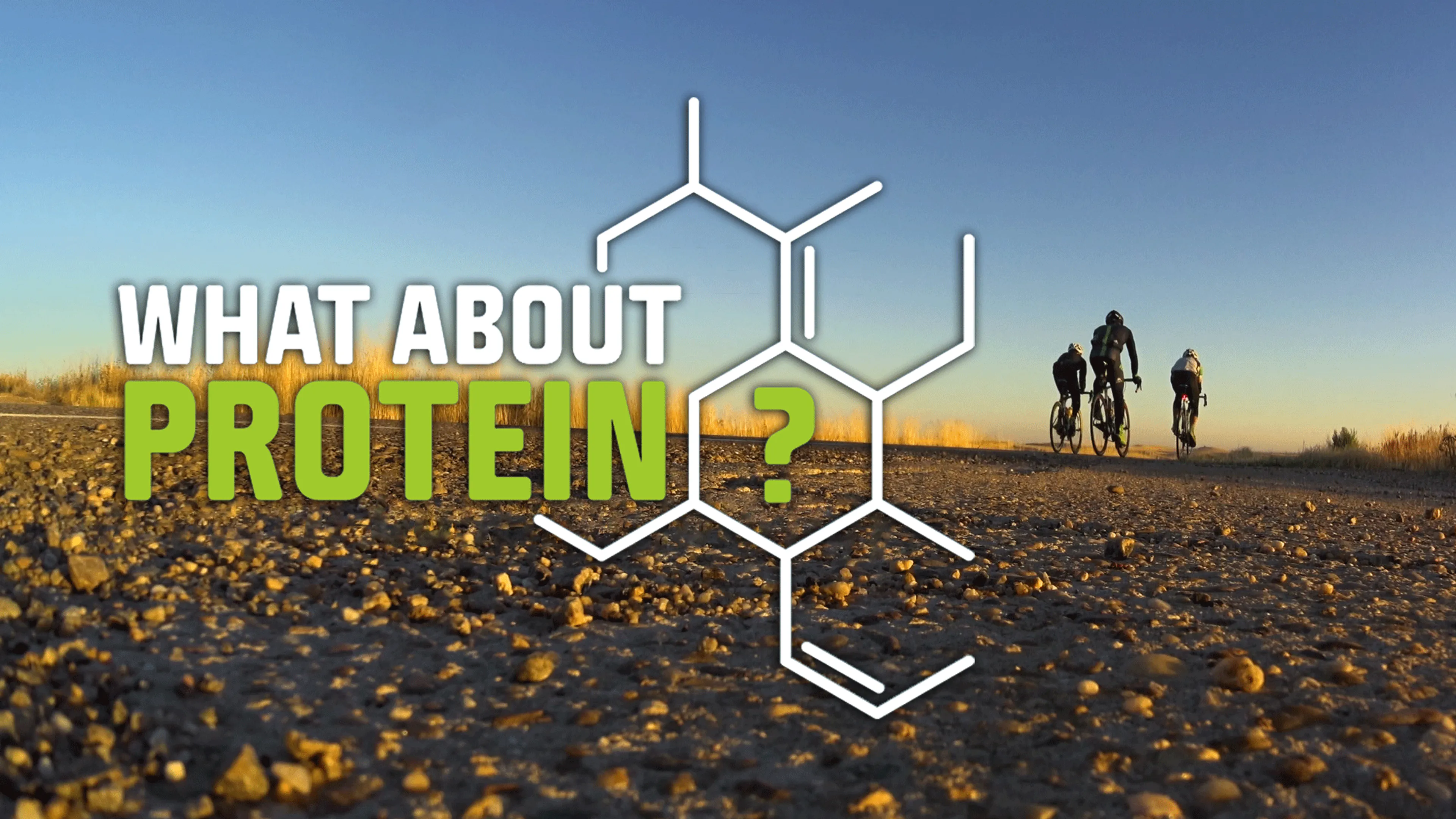 What About Protein? poster